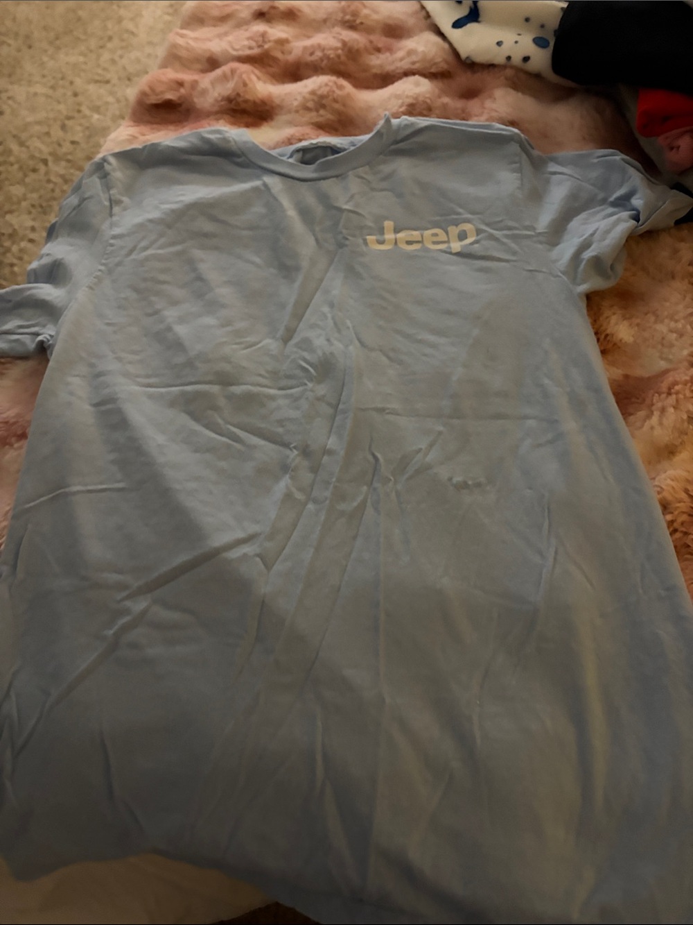 Jeep Pale Blue Tee with White Logo